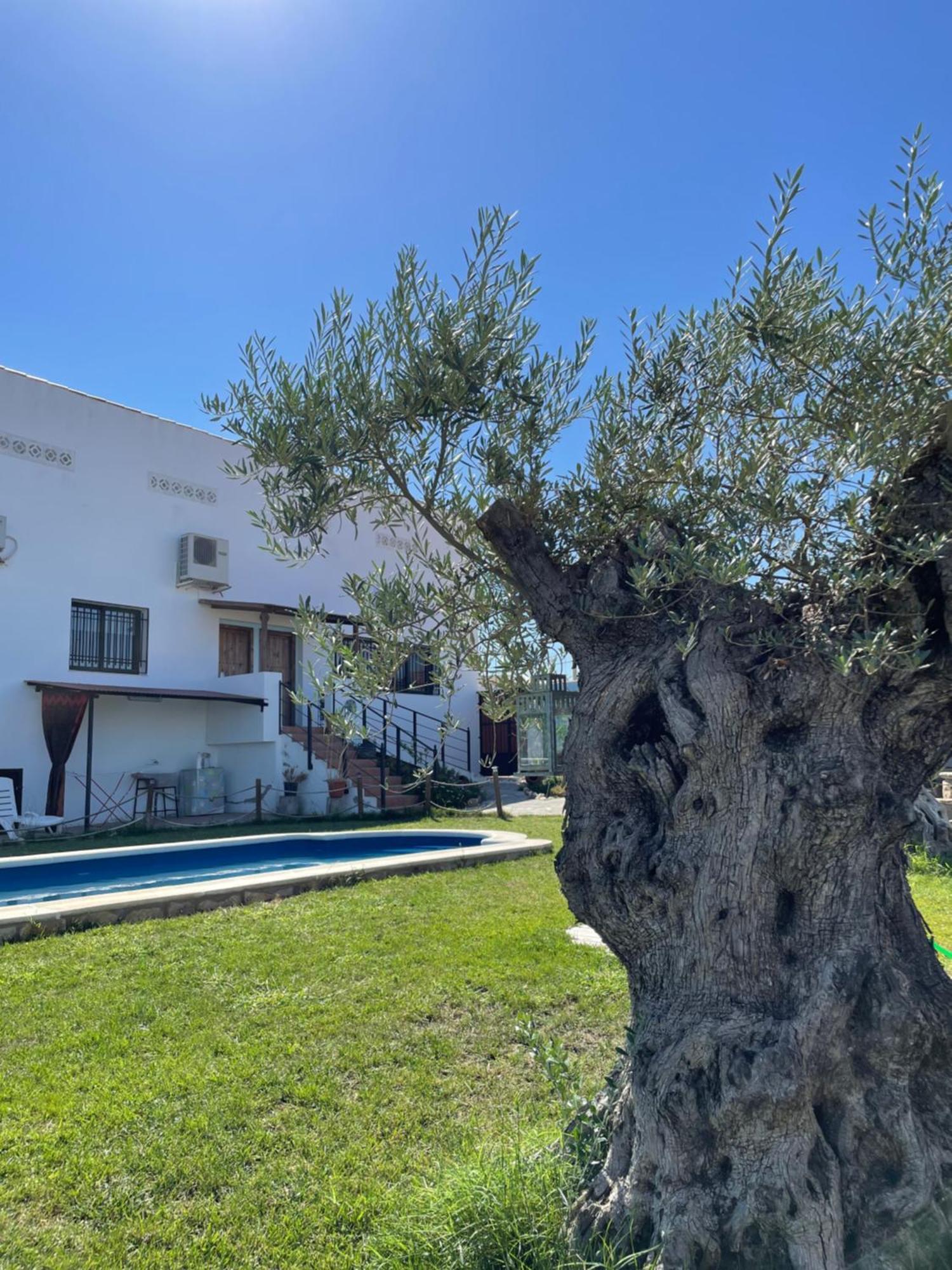 El Miajon * El Campo (Caceres)